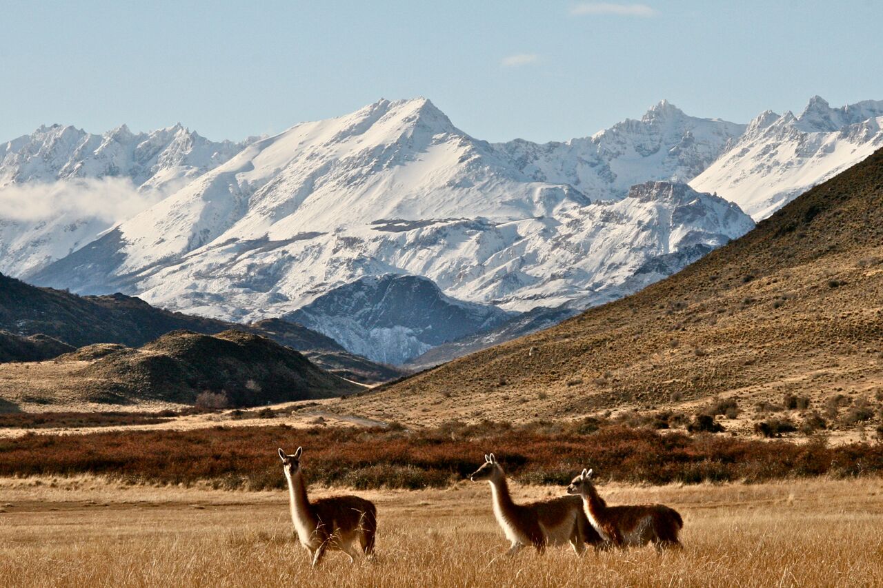 wp-content/uploads/itineraries/Chile/Aysen 3 Patagonia Park.jpg